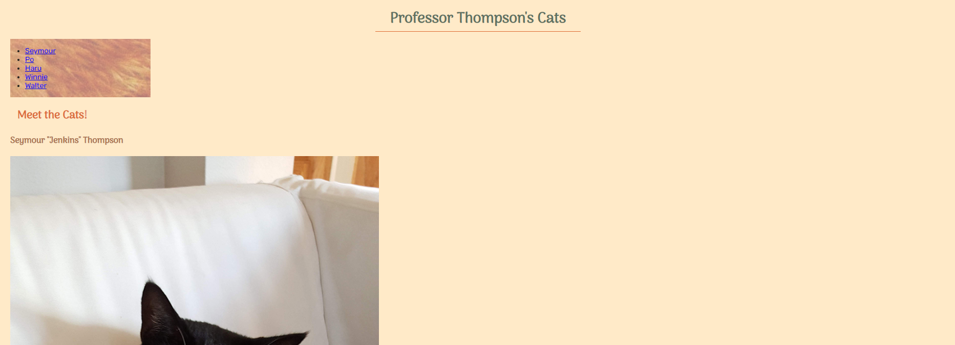 Screenshot of Professor Thompson's Cats page