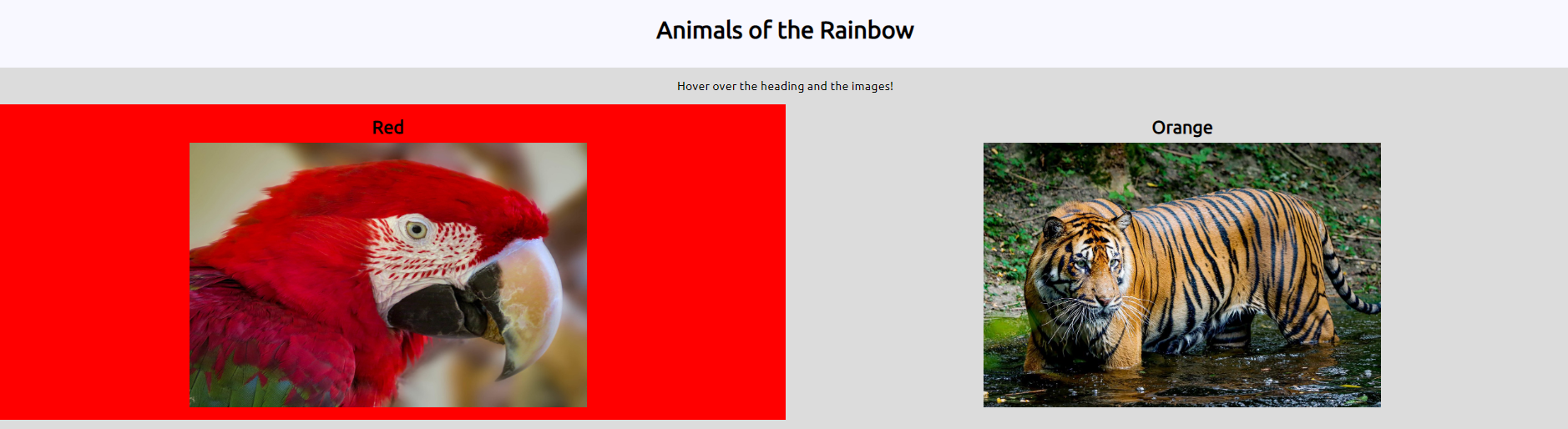 Screenshot of Animals of the Rainbow page