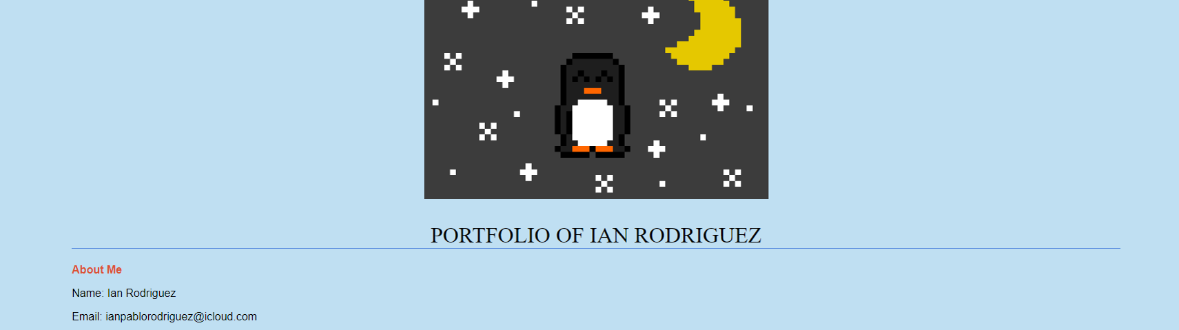 Screenshot of beginner portfolio page